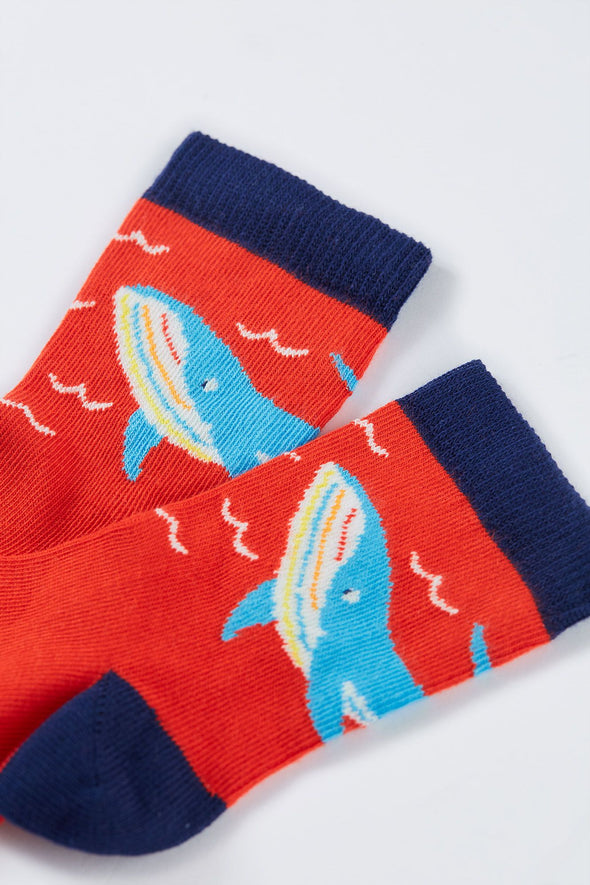 Frugi Rainbow Sea 3-pack Little Socks
