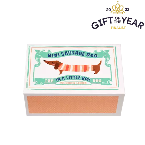 Rex of London Mini Sausage Dog in a  Box