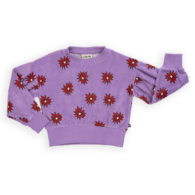 CarlijnQ Dahlia Puffed Sleeves Velour Sweater