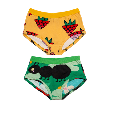 Raspberry Republic Briefs 2 Pack Set
