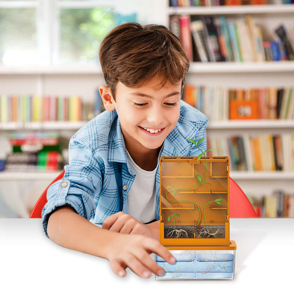 4M Green Science Grow A Maze