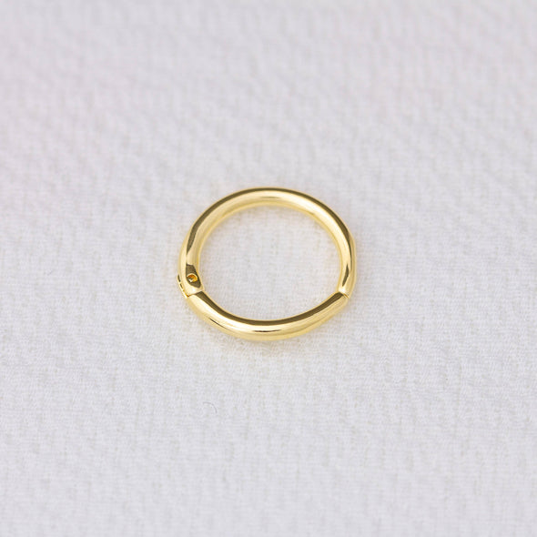 GoldFi Mini Seamless Clicker Hoop Earrings