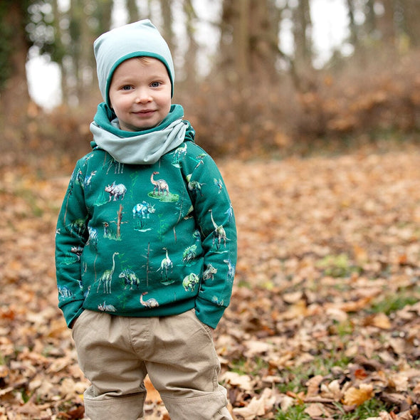 Enfant Terrible Dino Print Organic Cotton Hoodie