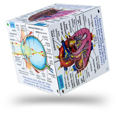 Bigjigs Human Body and Systems Cube Book