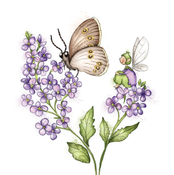 Burren Flower Fairies Butterflies Mixed Box of Notecards