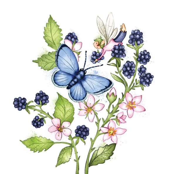 Burren Flower Fairies Butterflies Mixed Box of Notecards