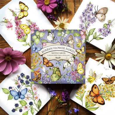 Burren Flower Fairies Butterflies Mixed Box of Notecards