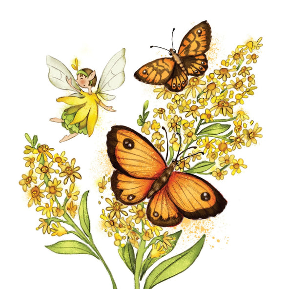 Burren Flower Fairies Butterflies Mixed Box of Notecards