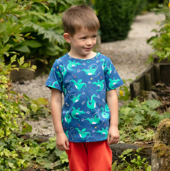 Piccalilly Magic Dragon All Over Print T-shirt