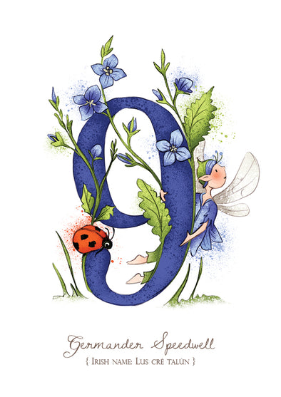 Burren Flower Fairies Age 9 Card