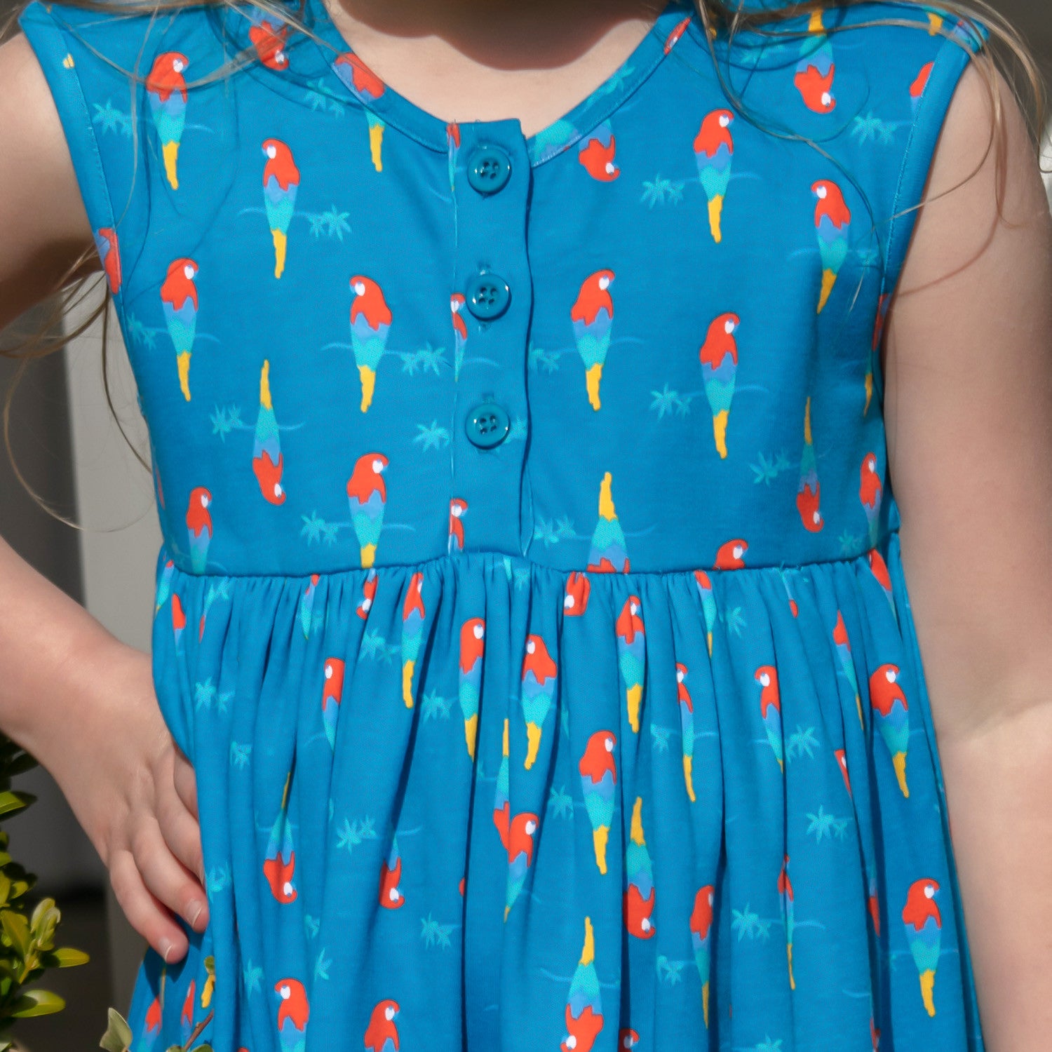Piccalilly Parrot Button Dress
